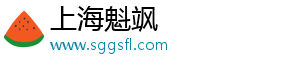 上海魁飒科技有限公司